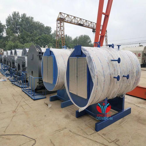 江西電蒸汽鍋爐滅菌柜在羊肚菌滅菌中的應(yīng)用