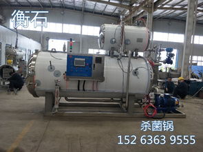 專業(yè)殺菌鍋安裝 羊肚菌滅菌器的正確安裝與使用指南