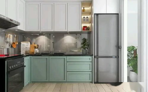 整體櫥柜新風(fēng)尚 拼色設(shè)計(jì)與滅菌鍋爐功能的完美融合